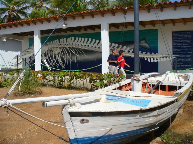 museo marino.jpg